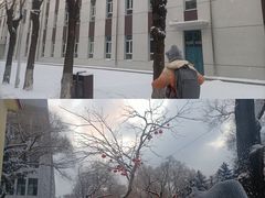 -黑龙江中医药大学