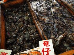 -大湾区中央湿地公园-十九涌