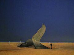 -烟台金沙滩海滨公园