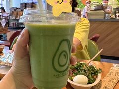 -油梨树AVOCADO TREE(望京店)