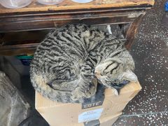 -夹夹大·蟹蟹大排档(财富又一城店)