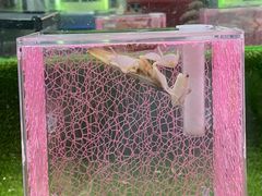 -上海昆虫博物馆