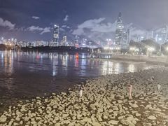 -深圳湾公园(南山区)