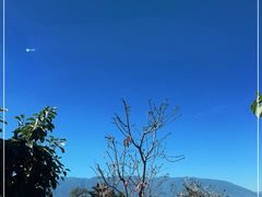 -小普陀