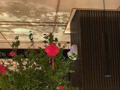 -德川家日本料理(顺义华联店)