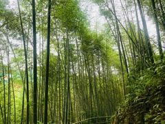 -千泷沟大瀑布旅游区