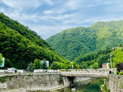 -牛背梁国家森林公园