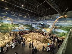 -自贡恐龙博物馆