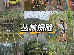 -呀诺达热带雨林