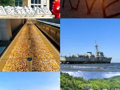 -日照海滨国家森林公园
