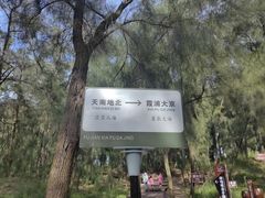 -大京沙滩