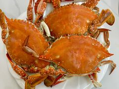 -同心源啤酒屋·青岛菜·海鲜加工