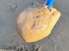 -南戴河国际娱乐中心