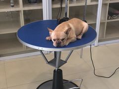 -牧马人宠物医院