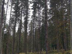 -硗碛藏寨·神木垒景区