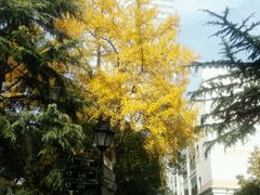 -老洋房花园饭店(绍兴路店)