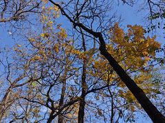 -井塘古村