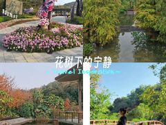 -云溪植物园
