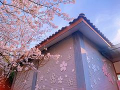 -高东镇樱花园