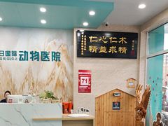 -东日国际动物医院·CT·心脏专科(桃源分院)