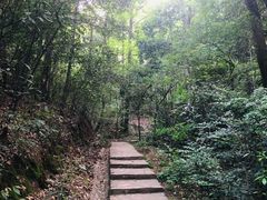 -岳麓山风景名胜区