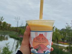 杨枝甘露滑布蕾-伏小桃(明瓦廊店)