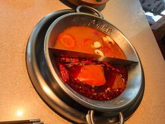 -小龙坎火锅(全球旗舰店)
