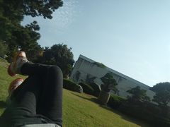 -中国唐苑