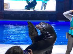 -波塞冬旅游度假区