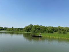 -溱湖国家湿地公园