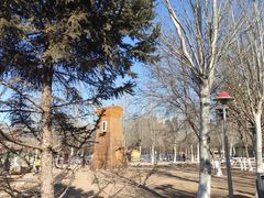 -长白岛森林公园