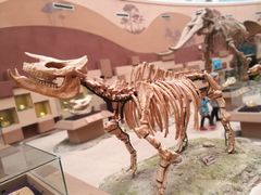 -陕西自然博物馆