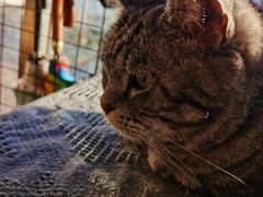 -平行世界·猫咖(首经贸店)