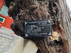 -莲池书院博物馆
