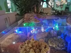 -中国湿地博物馆