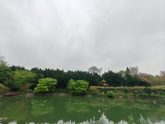 -嘉定紫藤园