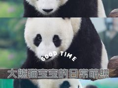 -天津市动物园