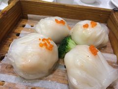 -鹅城