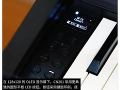 -秦川乐器(河西店)