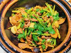 啫啫猪杂-煲煲好(朝阳门店)