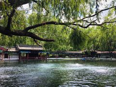 -百脉泉景区