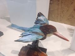 -芒洲湿地公园