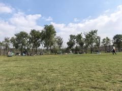 -上海海湾国家森林公园