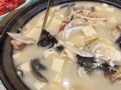 花鲢鱼头豆腐汤-小老板海鲜酒家(董家渡店)