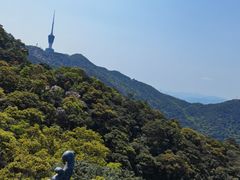 -梧桐山风景名胜区