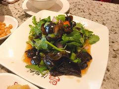 陈醋木耳-温粥人(春晖路店)