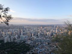 -兰山公园