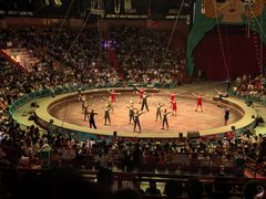 -俄罗斯国家大马戏团