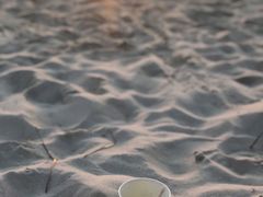 -白沙滩
