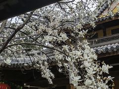 -龙华寺